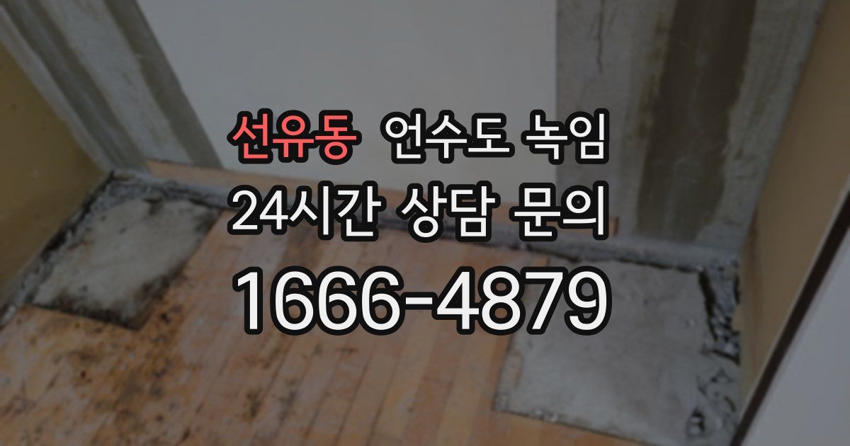 선유동 언수도 녹임