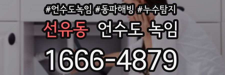 선유동 언수도 녹임