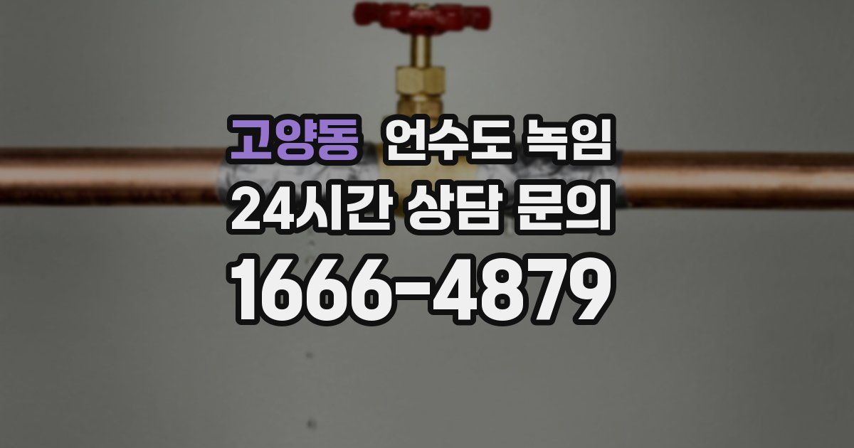 고양동 언수도 녹임