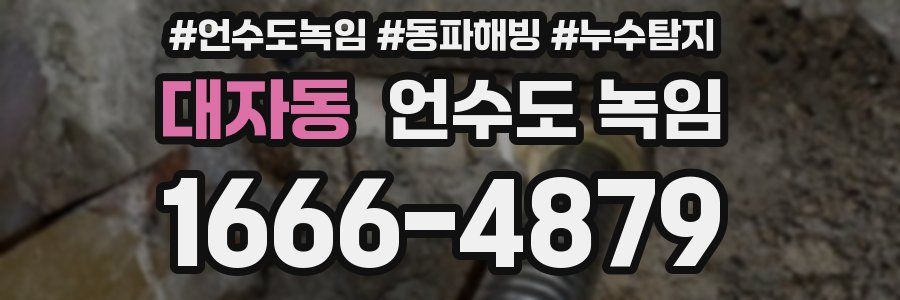 대자동 언수도 녹임