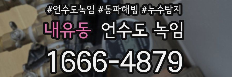 내유동 언수도 녹임