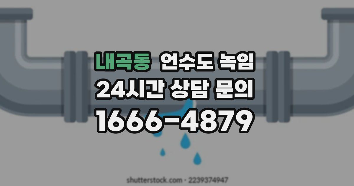 내곡동 언수도 녹임