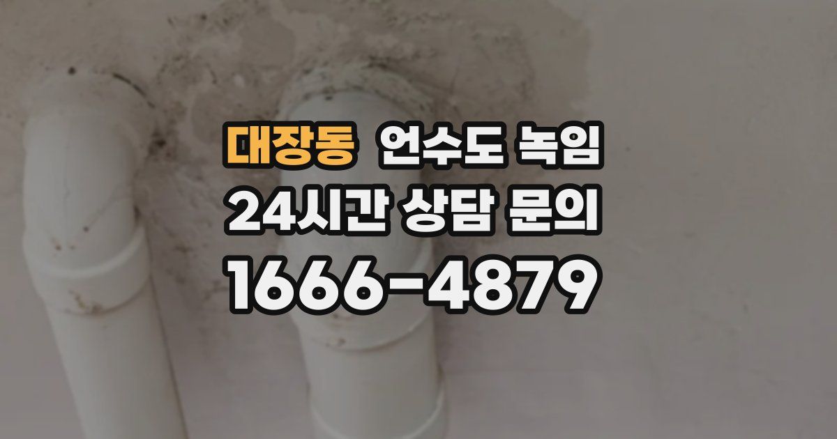 대장동 언수도 녹임