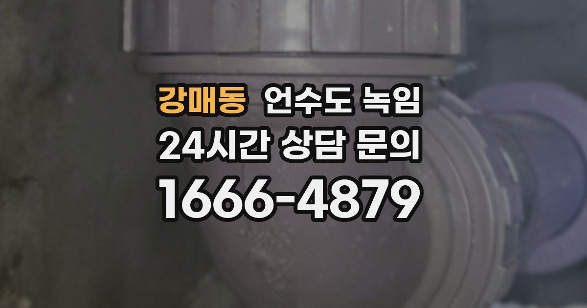 강매동 언수도 녹임