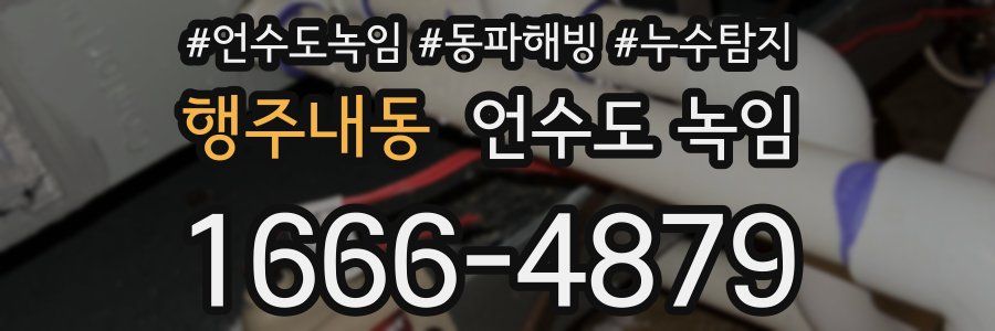 행주내동 언수도 녹임
