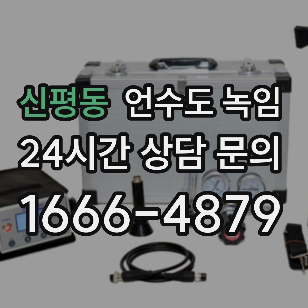 신평동 언수도 녹임
