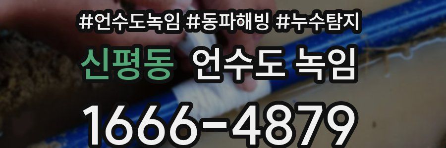 신평동 언수도 녹임