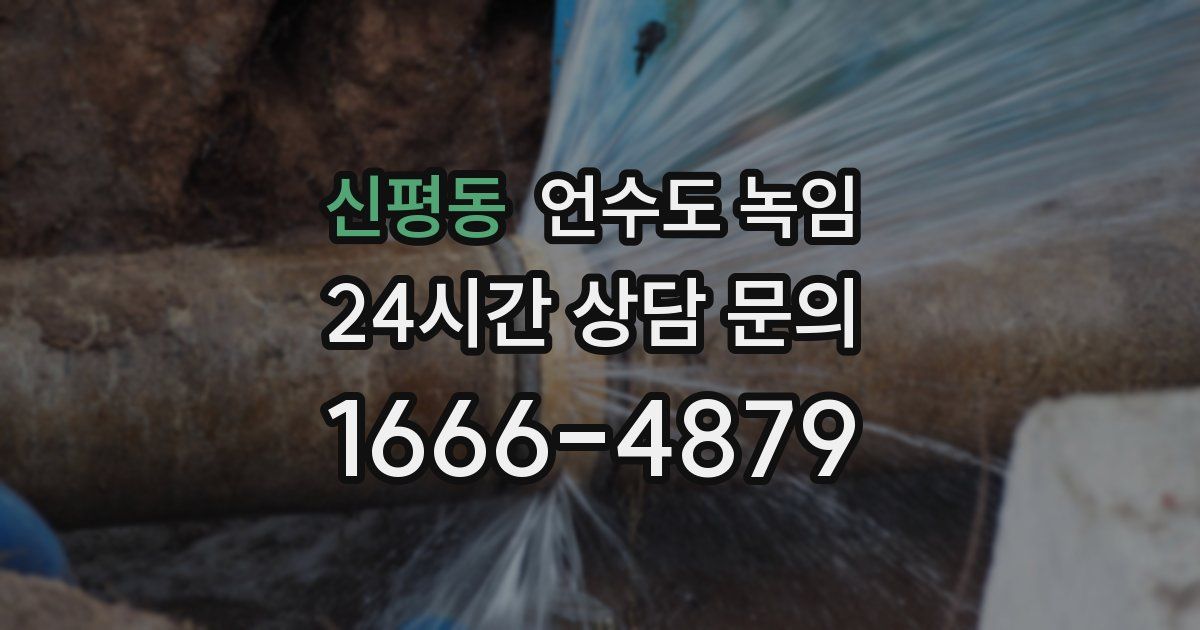 신평동 언수도 녹임
