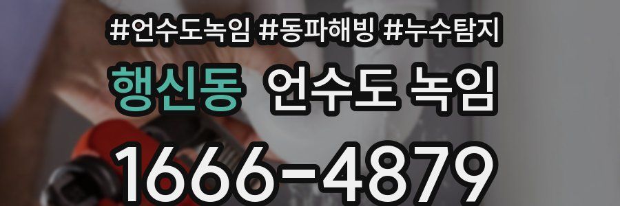 행신동 언수도 녹임