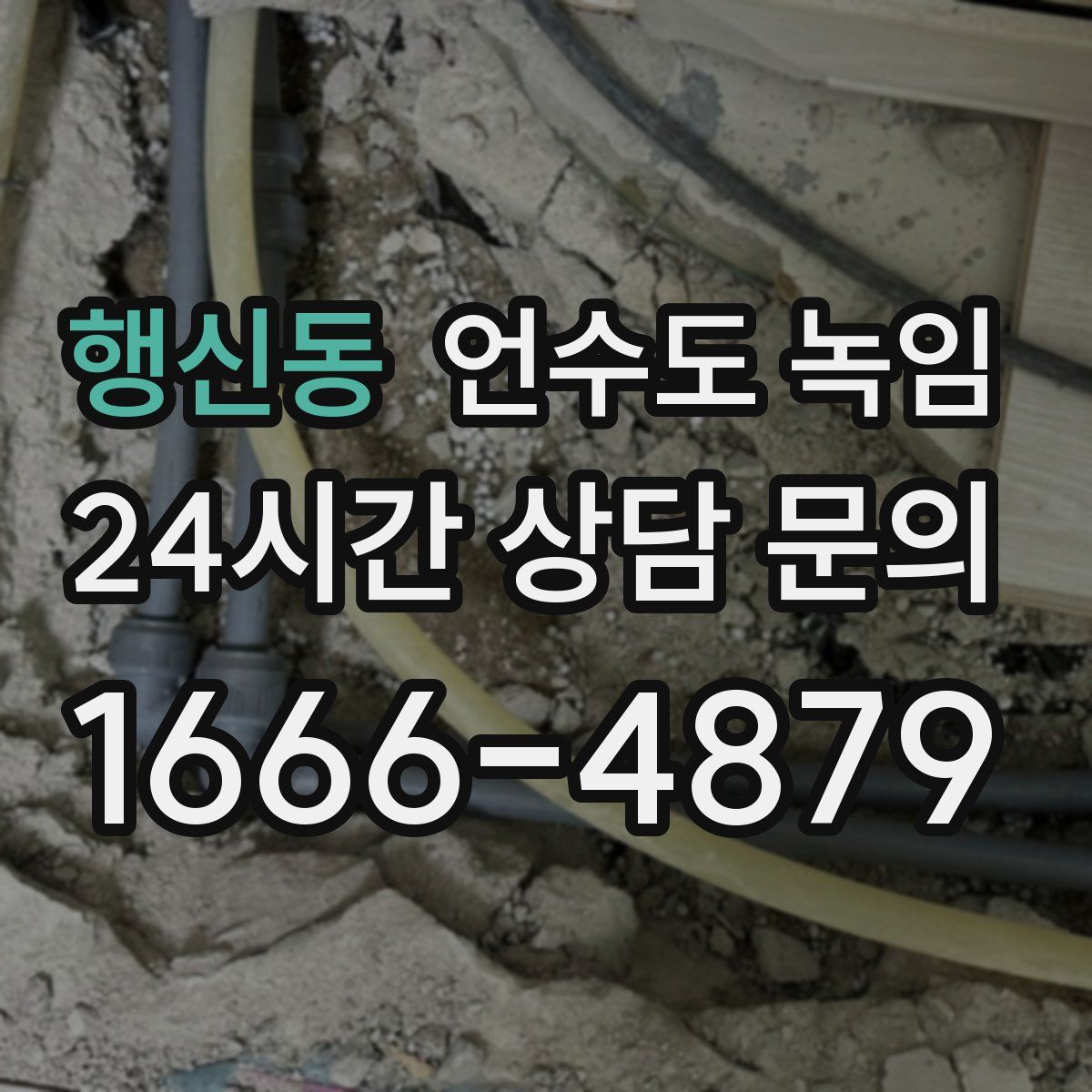 행신동 언수도 녹임