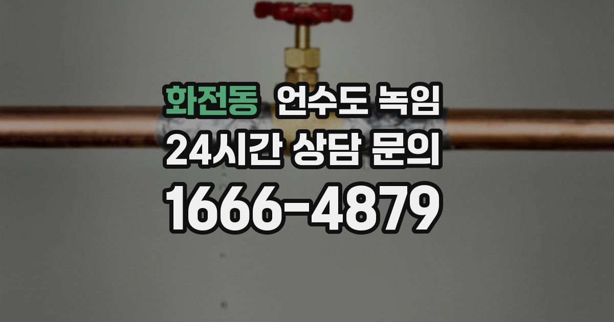 화전동 언수도 녹임