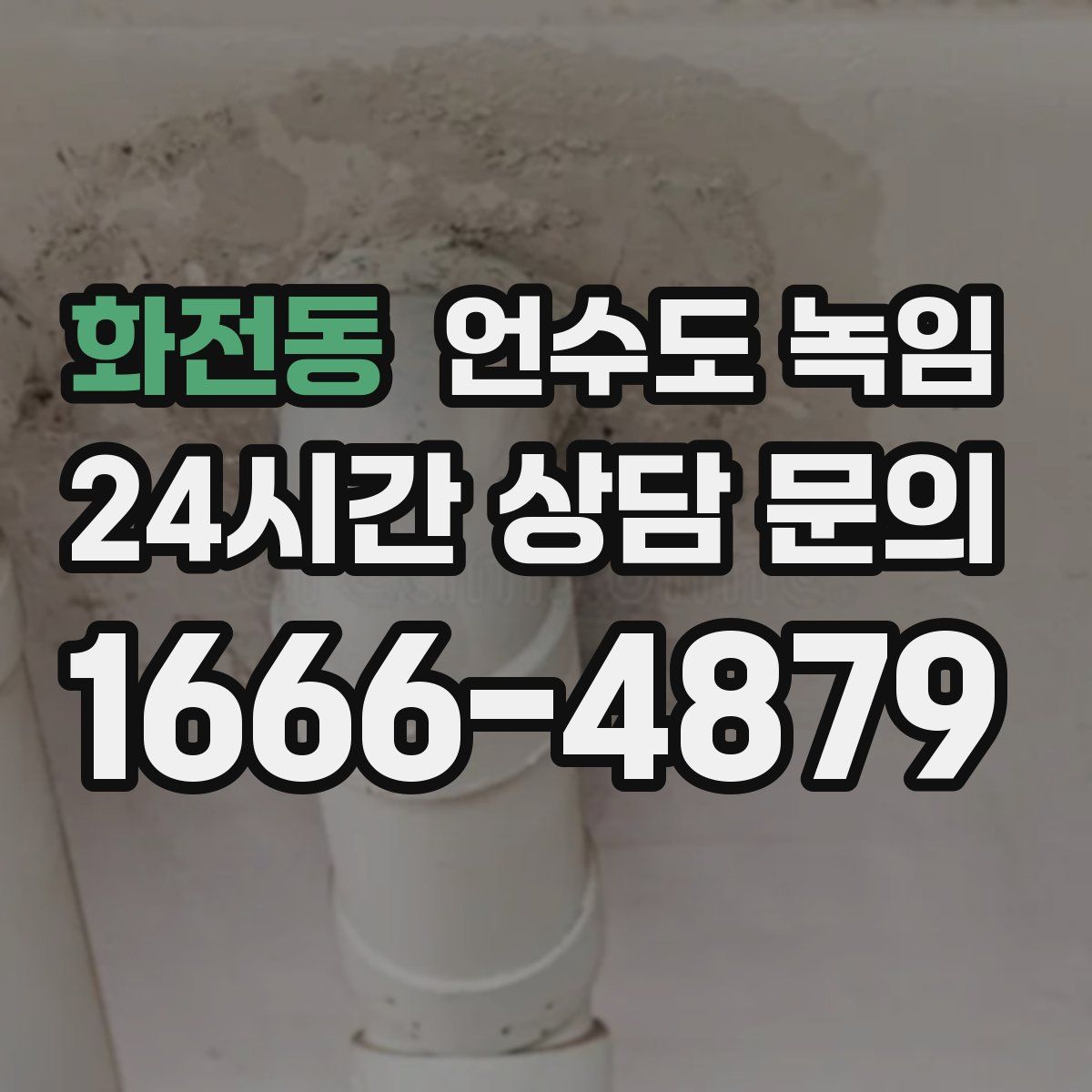 화전동 언수도 녹임