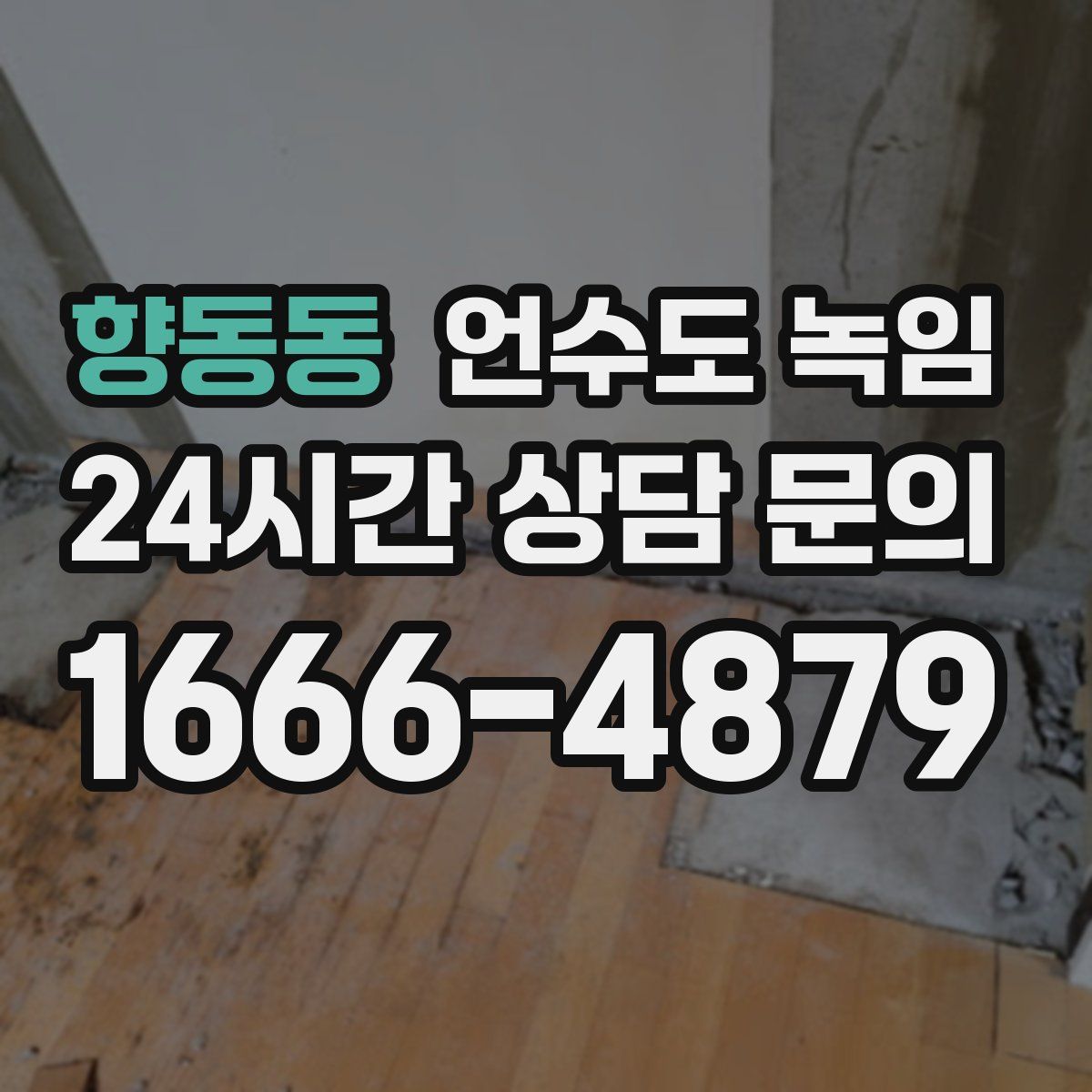 향동동 언수도 녹임