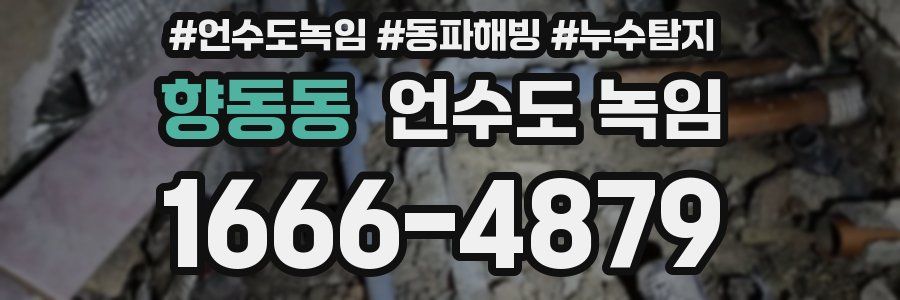 향동동 언수도 녹임