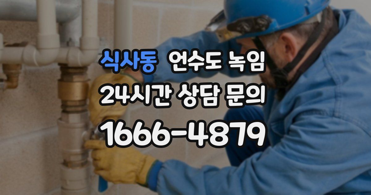 식사동 언수도 녹임