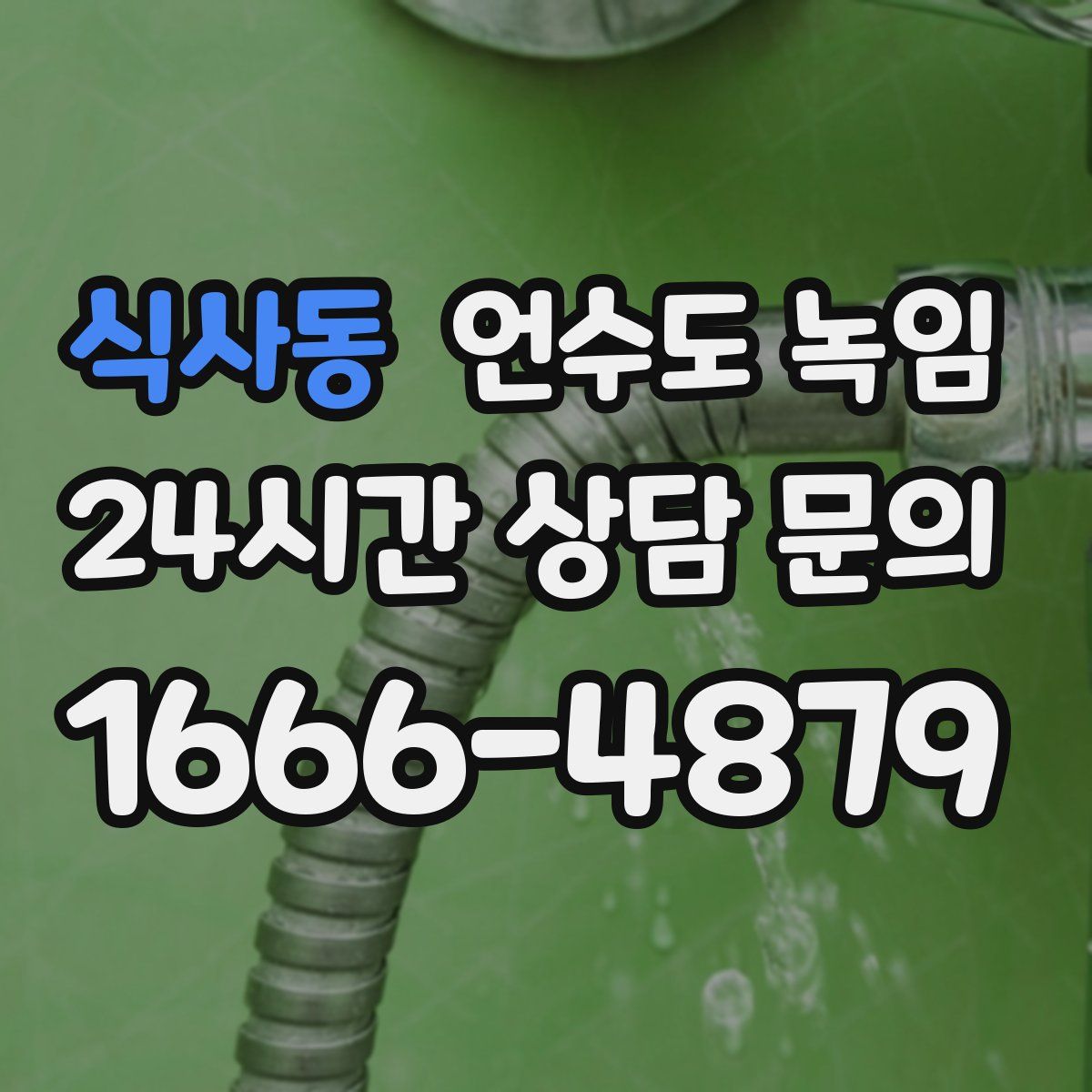 식사동 언수도 녹임