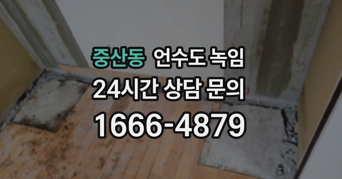 중산동 언수도 녹임