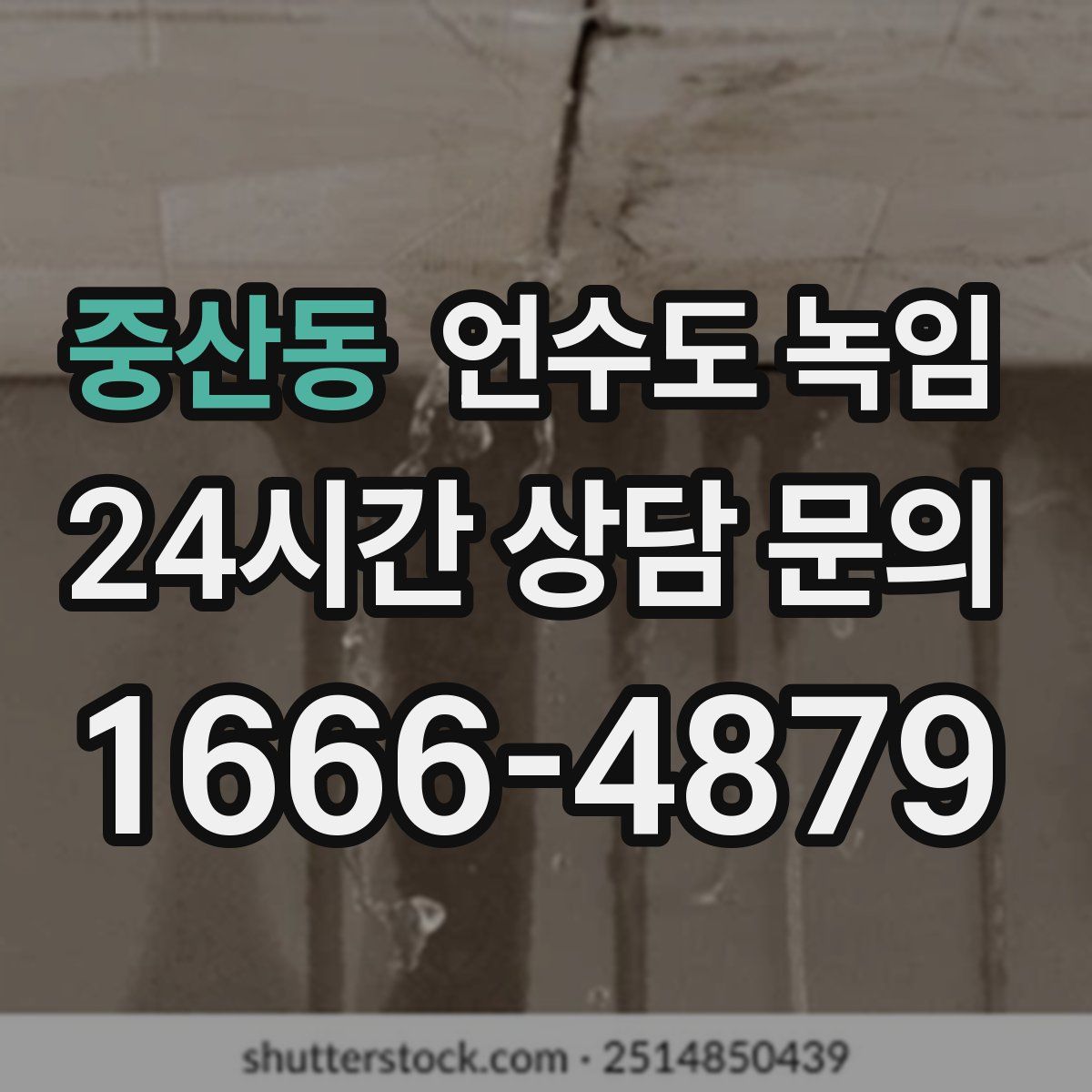 중산동 언수도 녹임