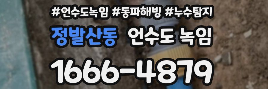 정발산동 언수도 녹임
