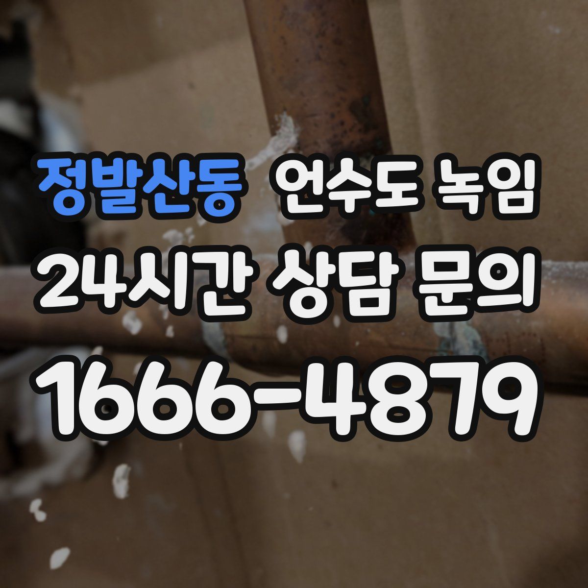 정발산동 언수도 녹임