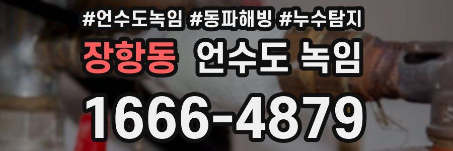 장항동 언수도 녹임