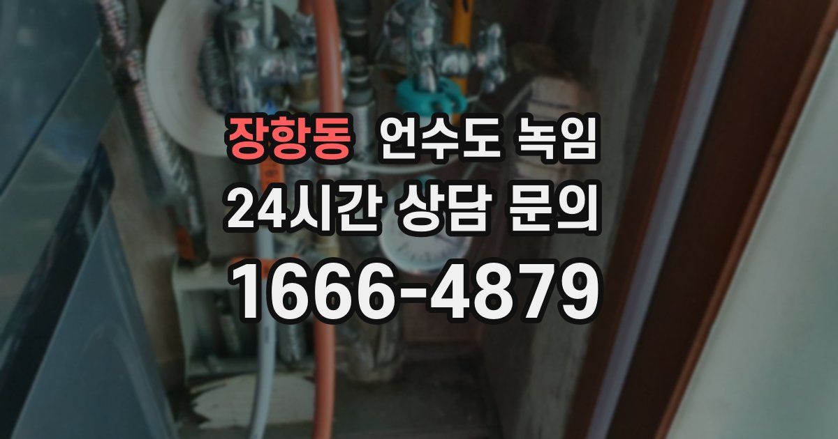 장항동 언수도 녹임