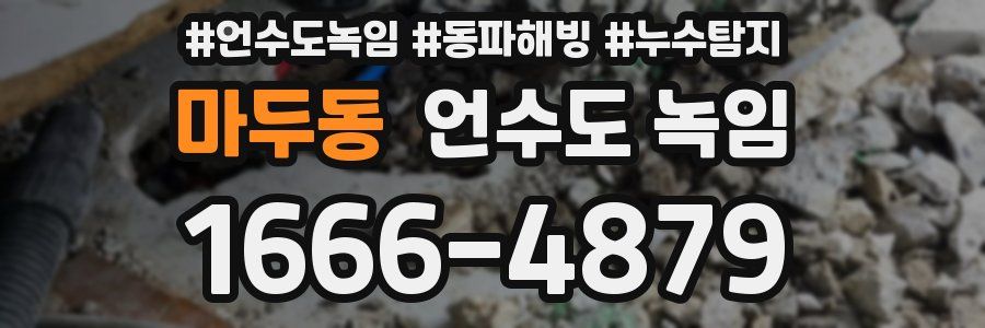 마두동 언수도 녹임