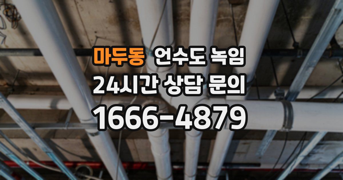 마두동 언수도 녹임