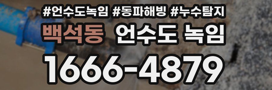 백석동 언수도 녹임