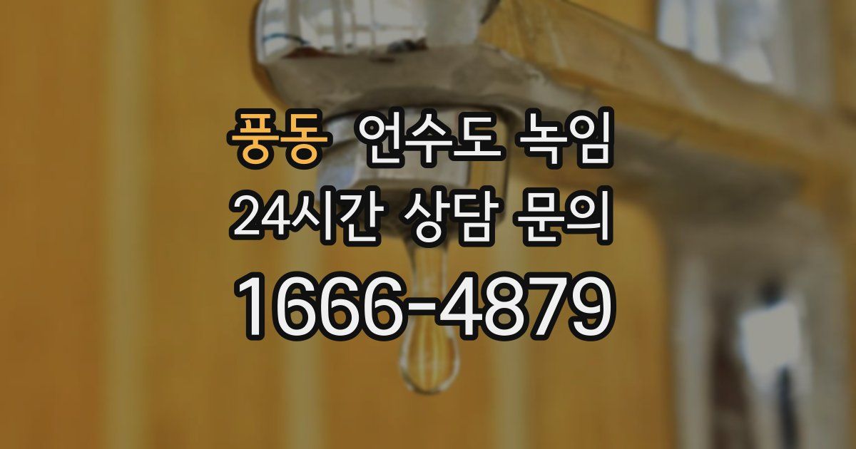 풍동 언수도 녹임