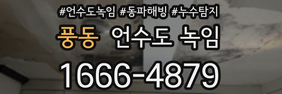 풍동 언수도 녹임