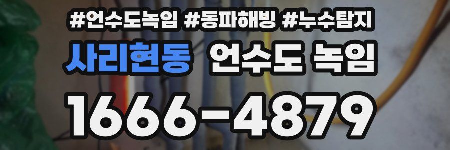 사리현동 언수도 녹임