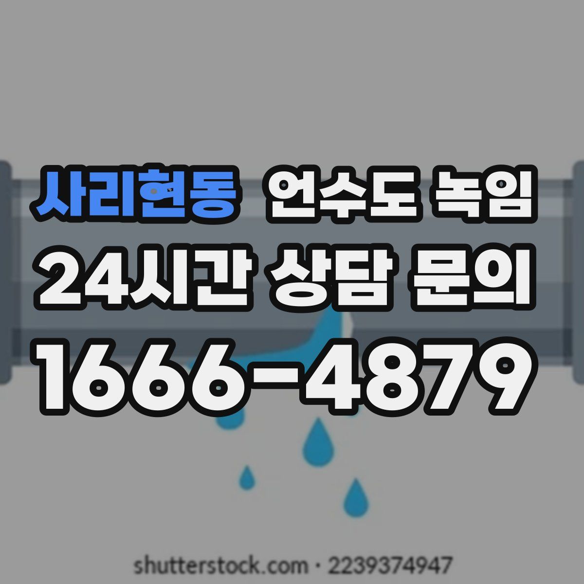 사리현동 언수도 녹임