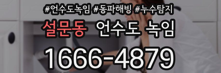 설문동 언수도 녹임