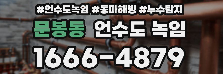 문봉동 언수도 녹임