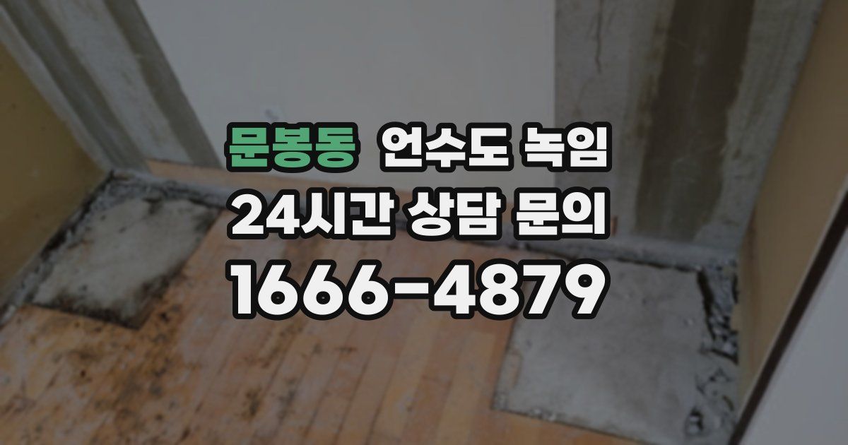 문봉동 언수도 녹임