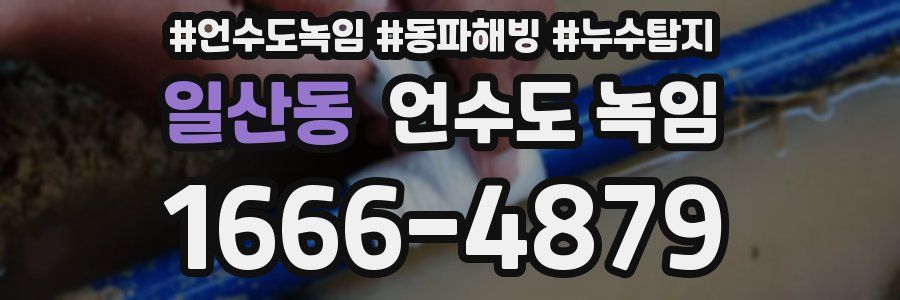 일산동 언수도 녹임