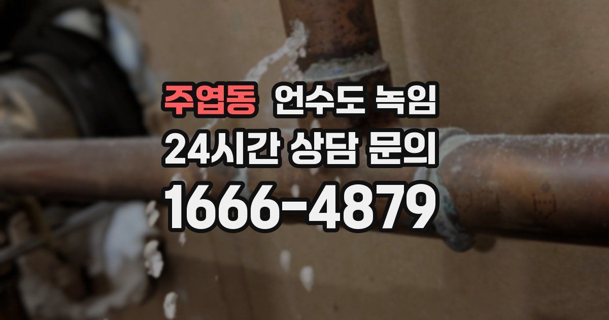 주엽동 언수도 녹임