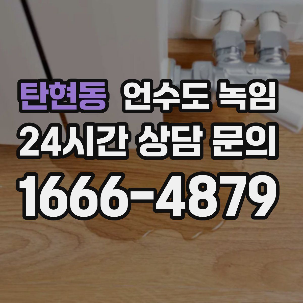 탄현동 언수도 녹임