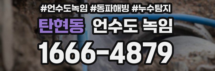 탄현동 언수도 녹임