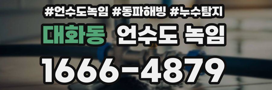 대화동 언수도 녹임