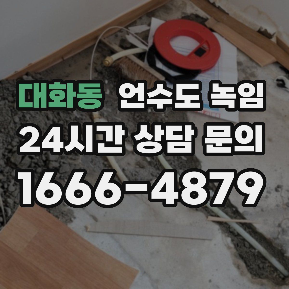 대화동 언수도 녹임