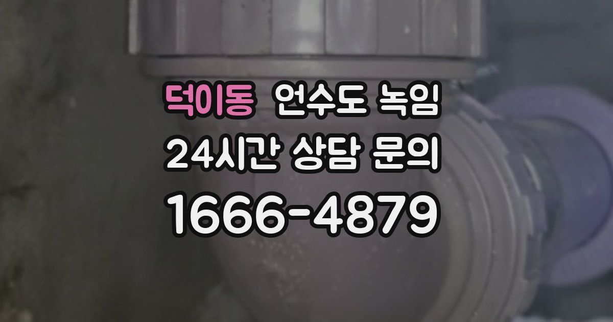 덕이동 언수도 녹임