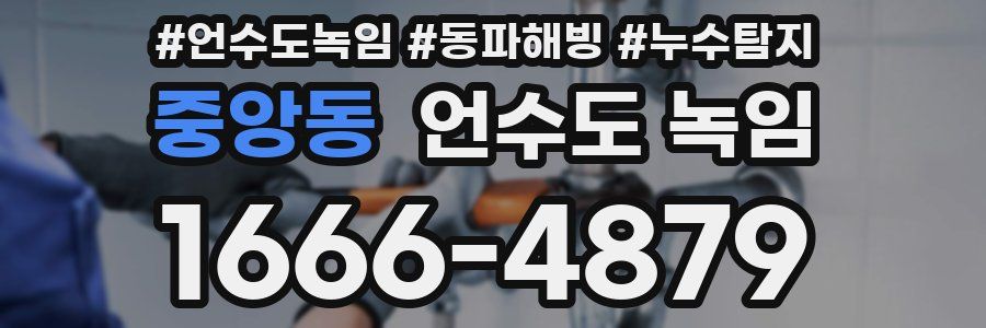 중앙동 언수도 녹임