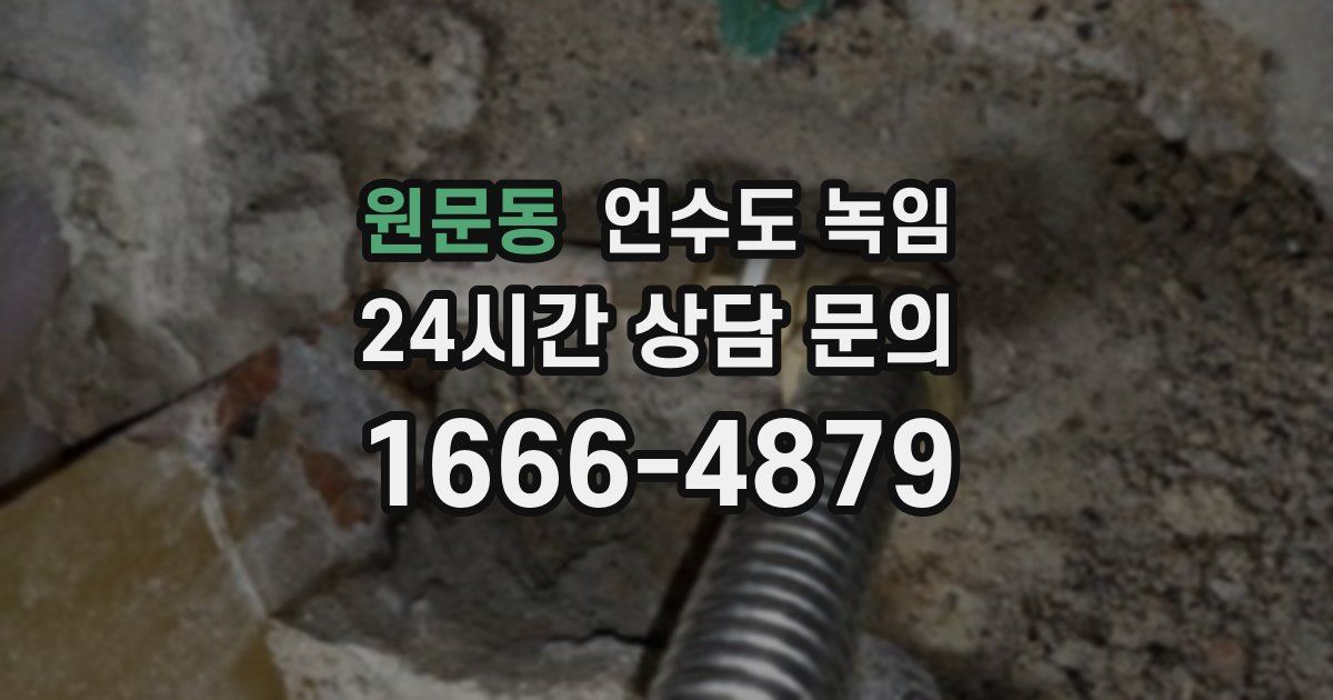 원문동 언수도 녹임