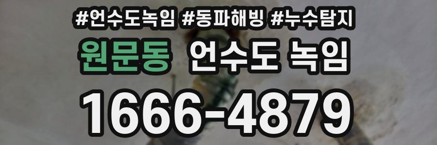 원문동 언수도 녹임