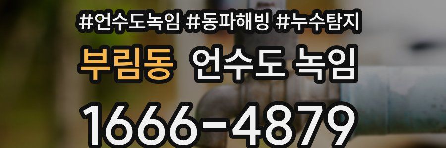 부림동 언수도 녹임