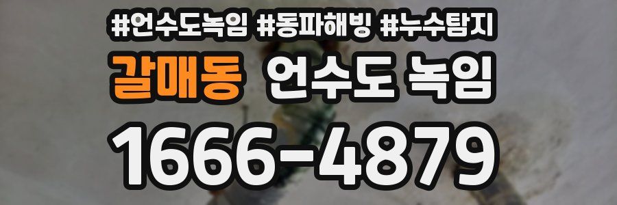 갈매동 언수도 녹임