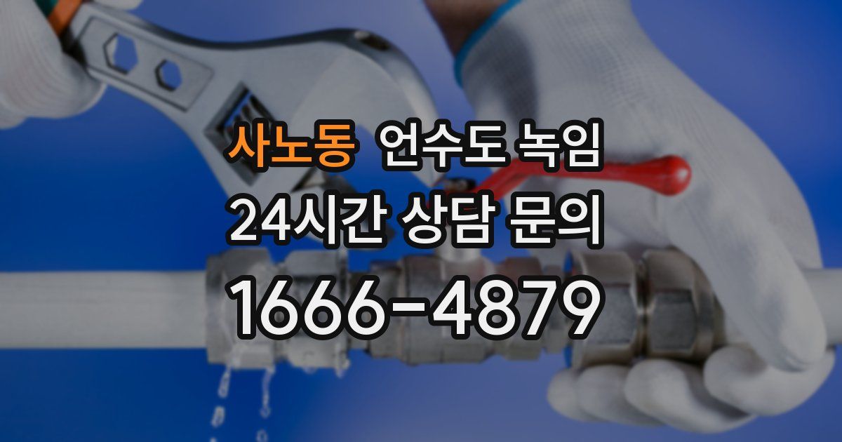 사노동 언수도 녹임
