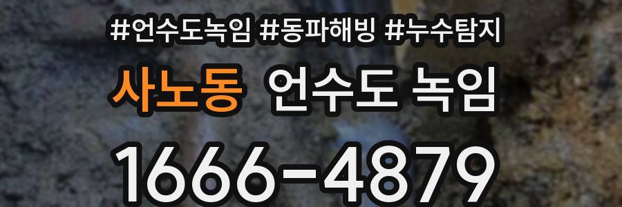 사노동 언수도 녹임